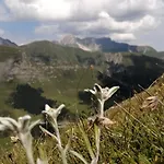 Апартаменты Zur Sonne