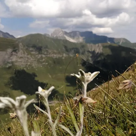 Διαμέρισμα Zur Sonne