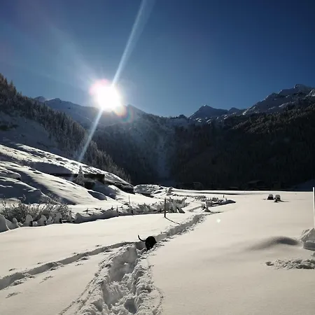 Zur Sonne
